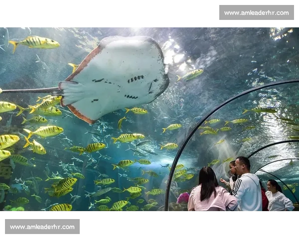 长崎航海与德岛旋涡的奇妙交汇:探索海洋文化与自然力量的互动魅力